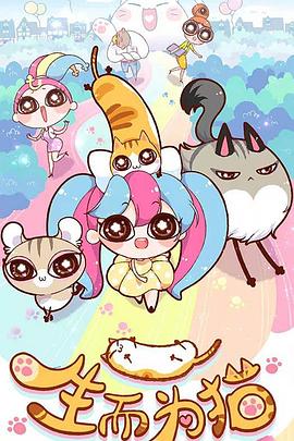 团风seo优化定位